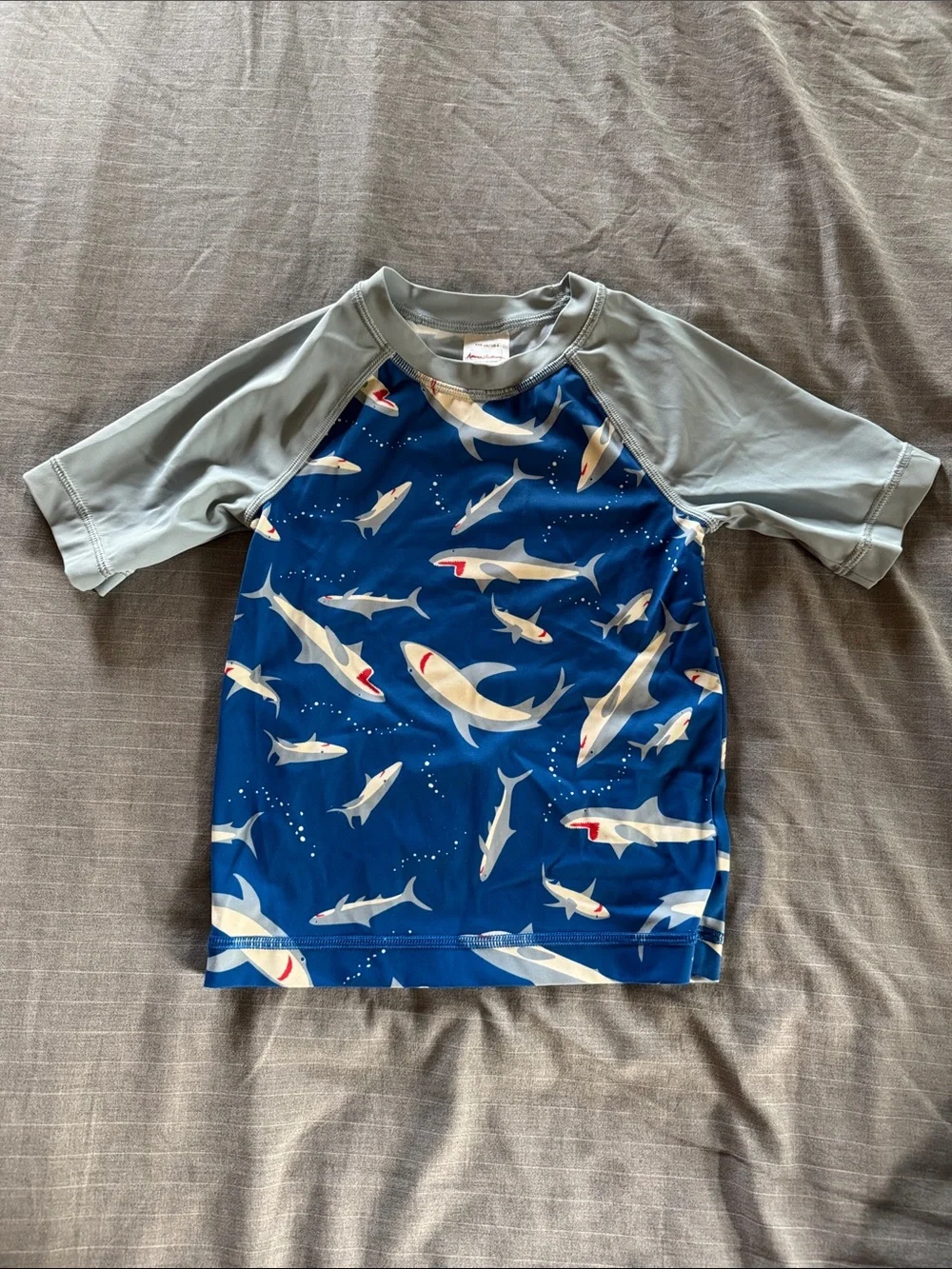 Hanna Andersson Blue and Gray Shark Swim Set
